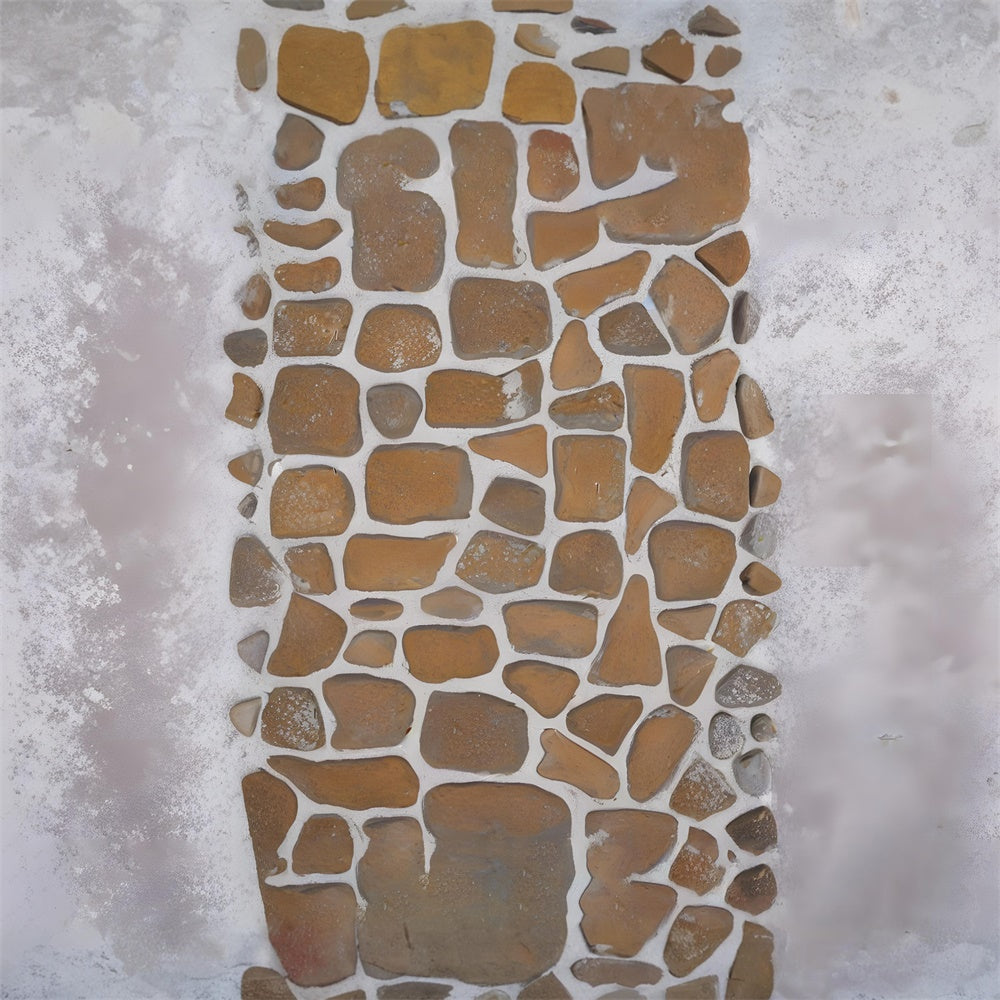 Toile de Fond Sol en Pierre Géométrique Neigeuse RR8-604