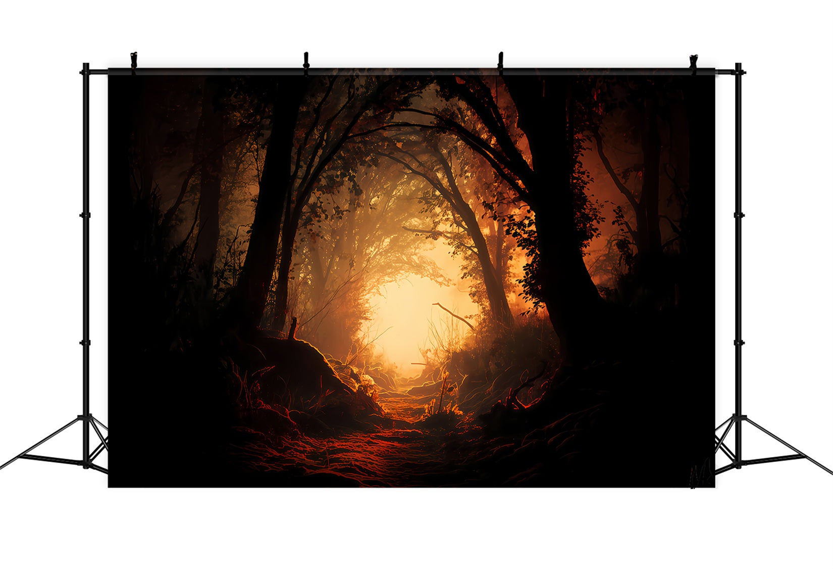 Fond de forêt hantée, forêt enchantée et chemin enflammé Fond photo d'Halloween TWW510-29