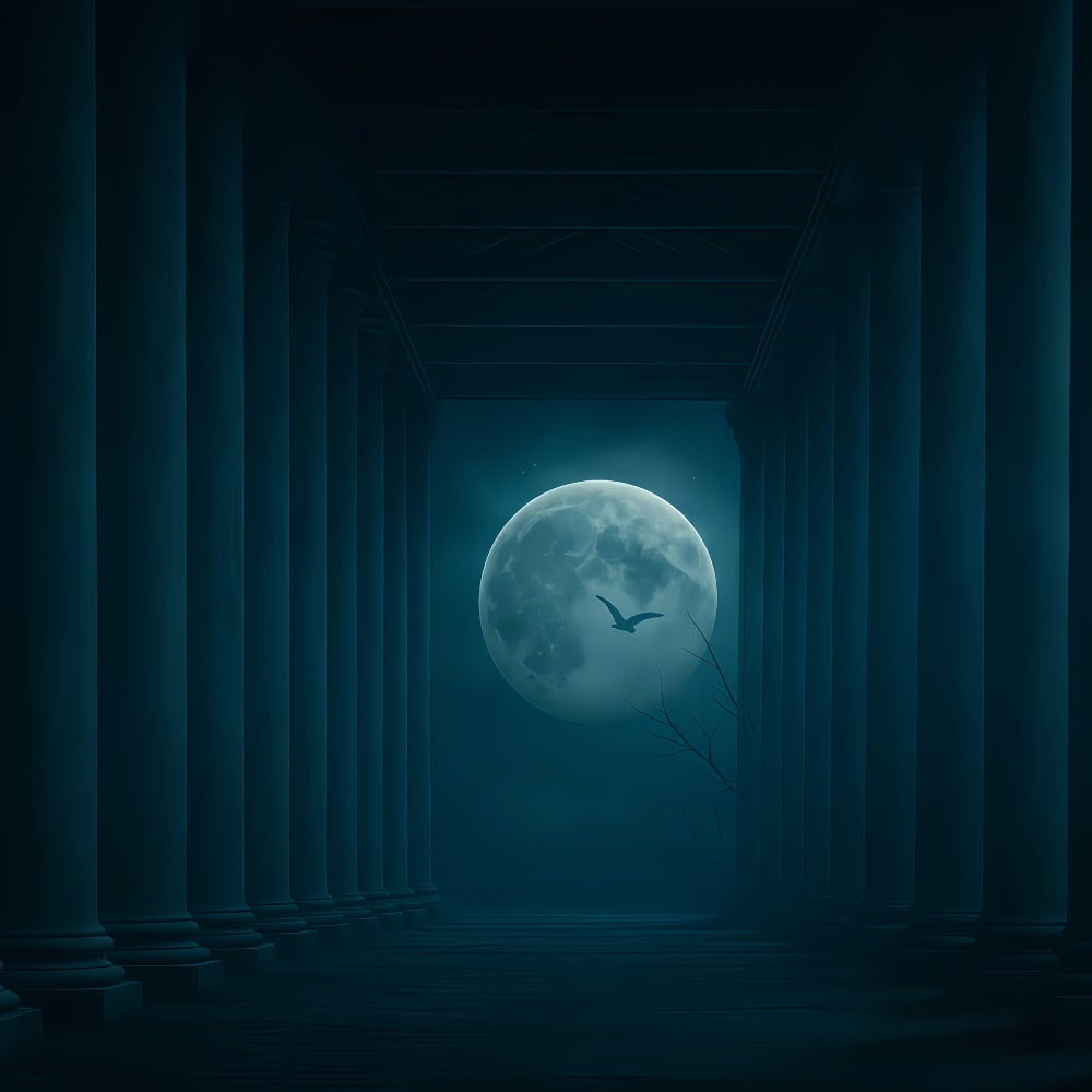 Fond Halloween Moon Moonlit Pillars Dark Corridor Fond Halloween TWW510-31