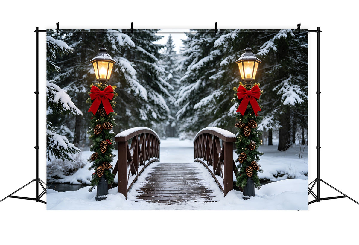 Décor De Noël D'Hiver Chemin Des Lanternes Du Pont Enneigé Décors De Studio De Noël ZTT69-36