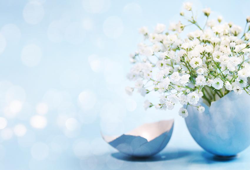 Blue Easter Egg White Little Flowers Backdrop for Photo Shoot D557