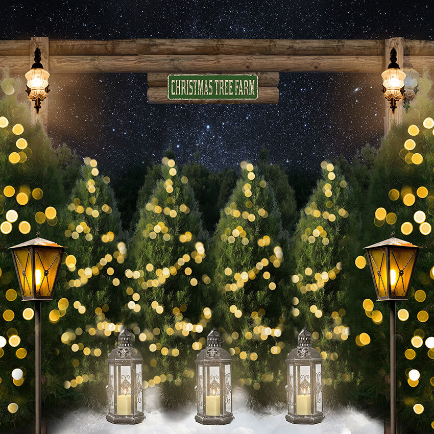 Bokeh Lights Décoration de sapin de Noël Toile de fond D941