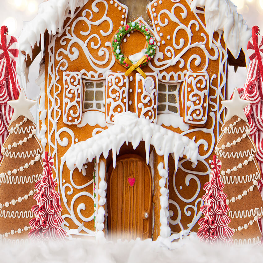 Toile de fond de photographie de Noël en pain d'épice D944