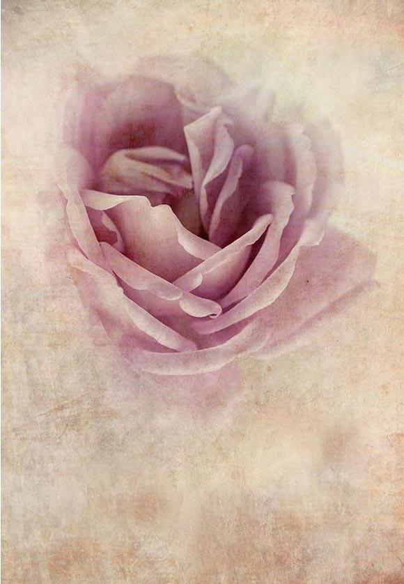 Pink Flower Portrait Photography Backdrop for Photographers F-2363