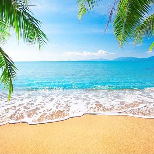 Summer Sea Beach Scenic Photo Backdrops G-229