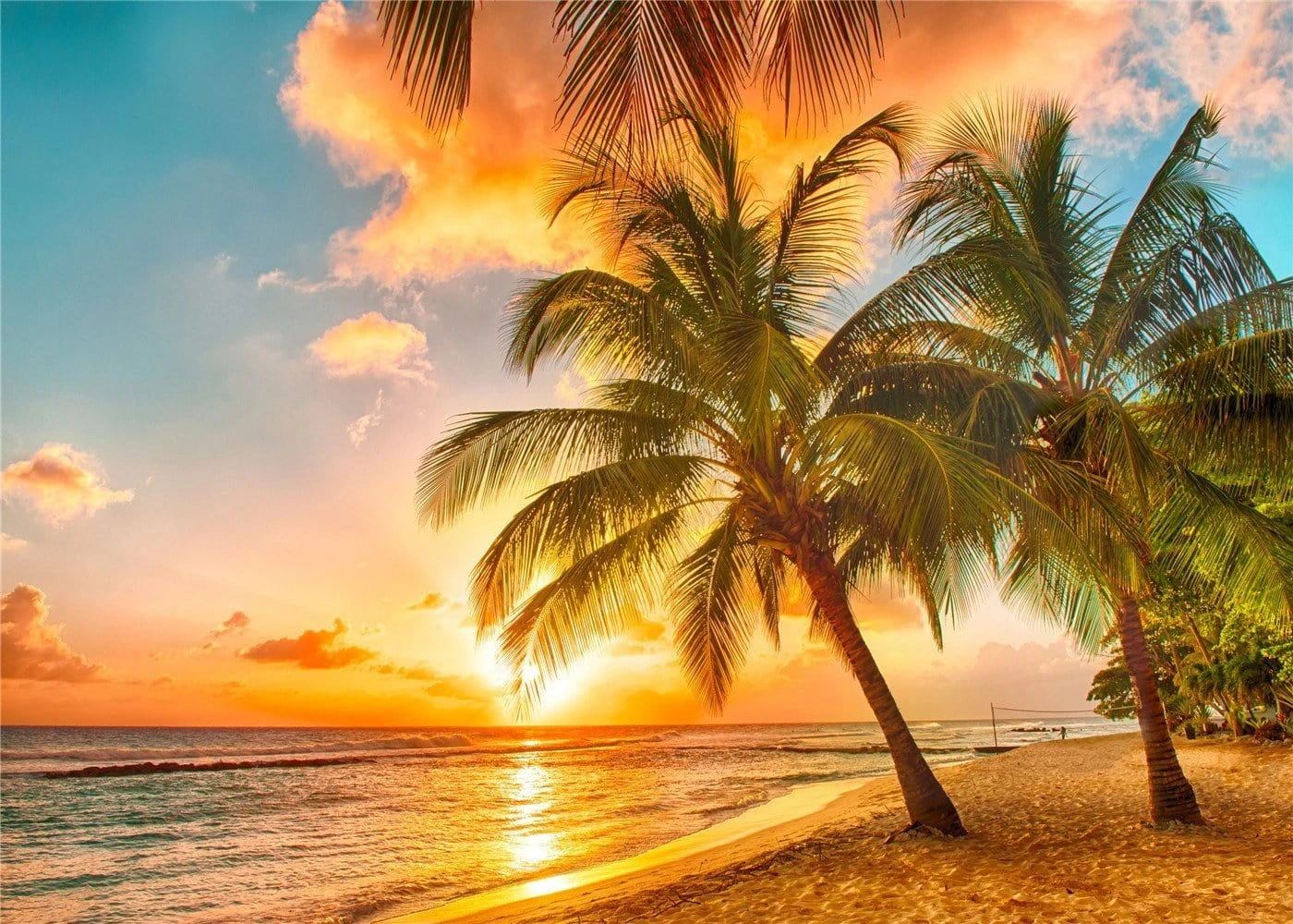 Plage de sable coucher de soleil mer été photo toile de fond GA-45