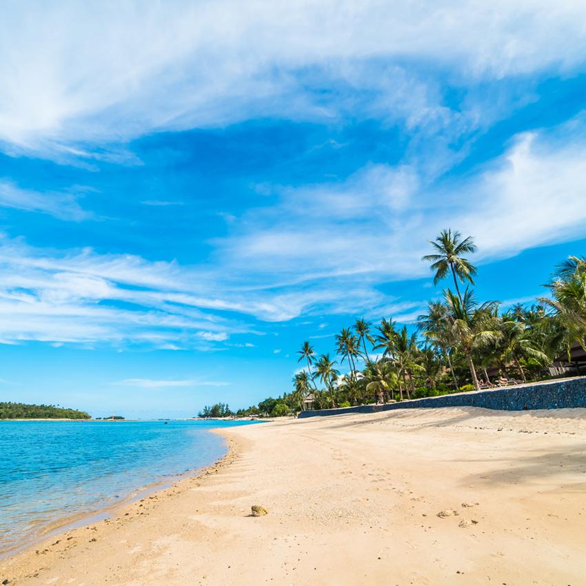Summer Beach Blue Ocean Sky Studio Backdrop J03151