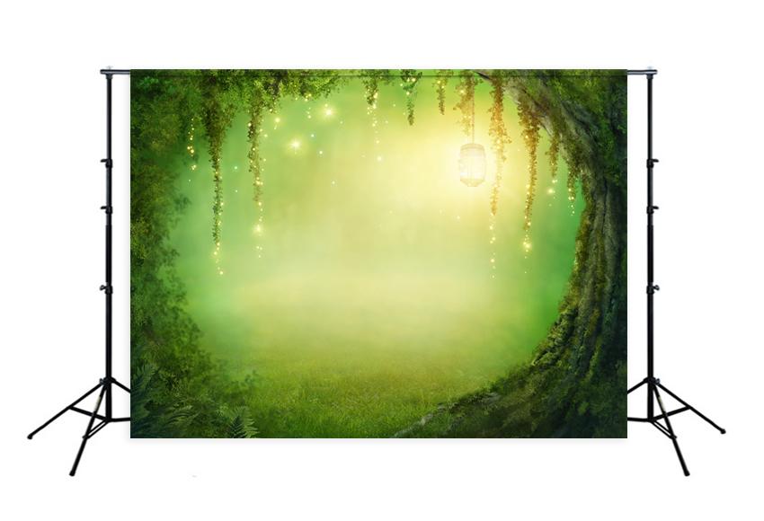 Toile de fond de bébé Toile de fond de conte de fées Fond de grotte mystérieuse J03529