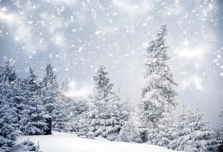 Winter Snow Forest Christmas Photography Backdrop KAT-16