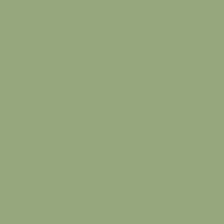 Toile de fond de couleur unie vert pomme pour la séance photo S2