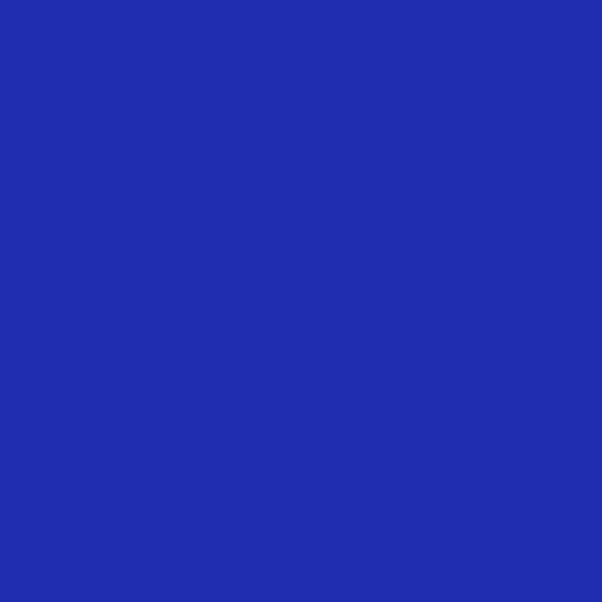 Fond de photographie en couleur unie bleu royal pour Studio SC42