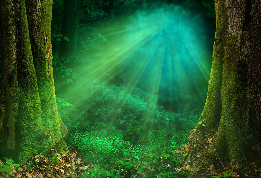 Magical Forest Fairy Tale Landscape Backdrop