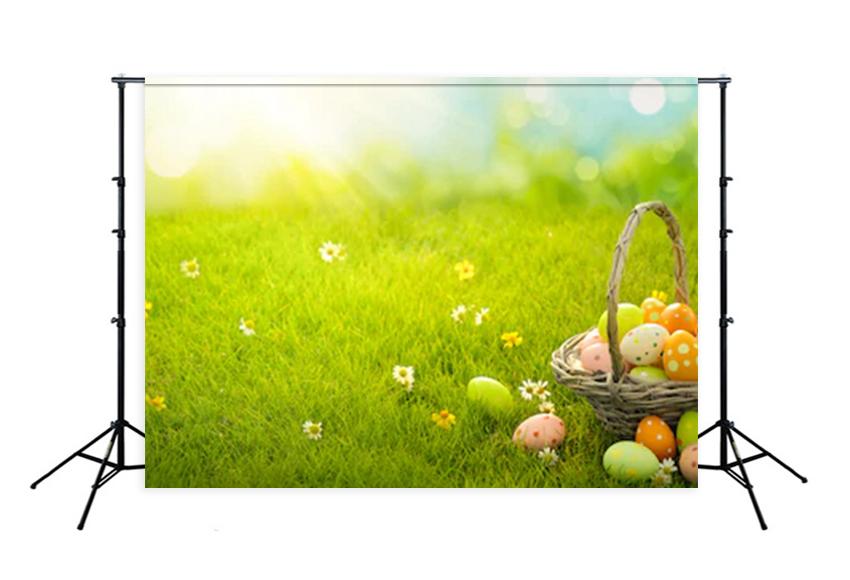 Easter Eggs Green Grass Photo Studio Backdrop SH085