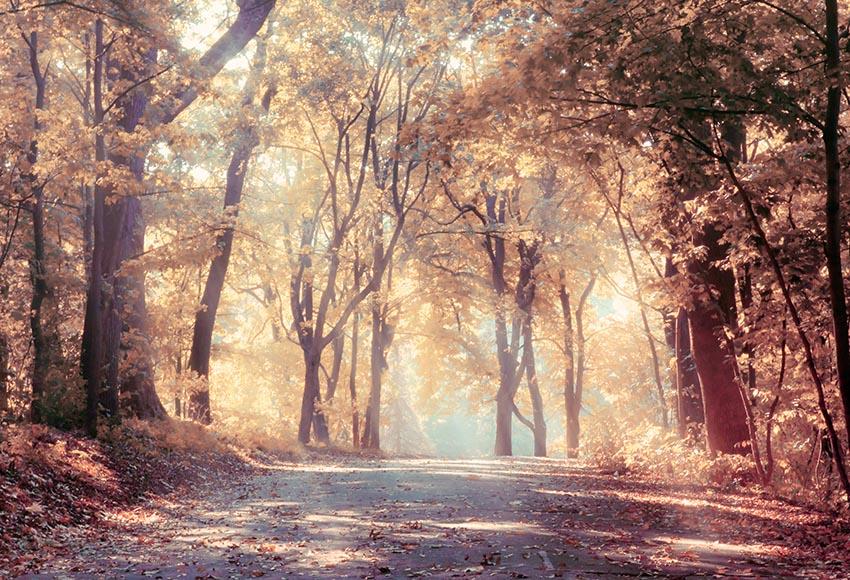 Autumn Forest Yellow Natural Fallen Leaves Photo Booth Backdrop LV-799