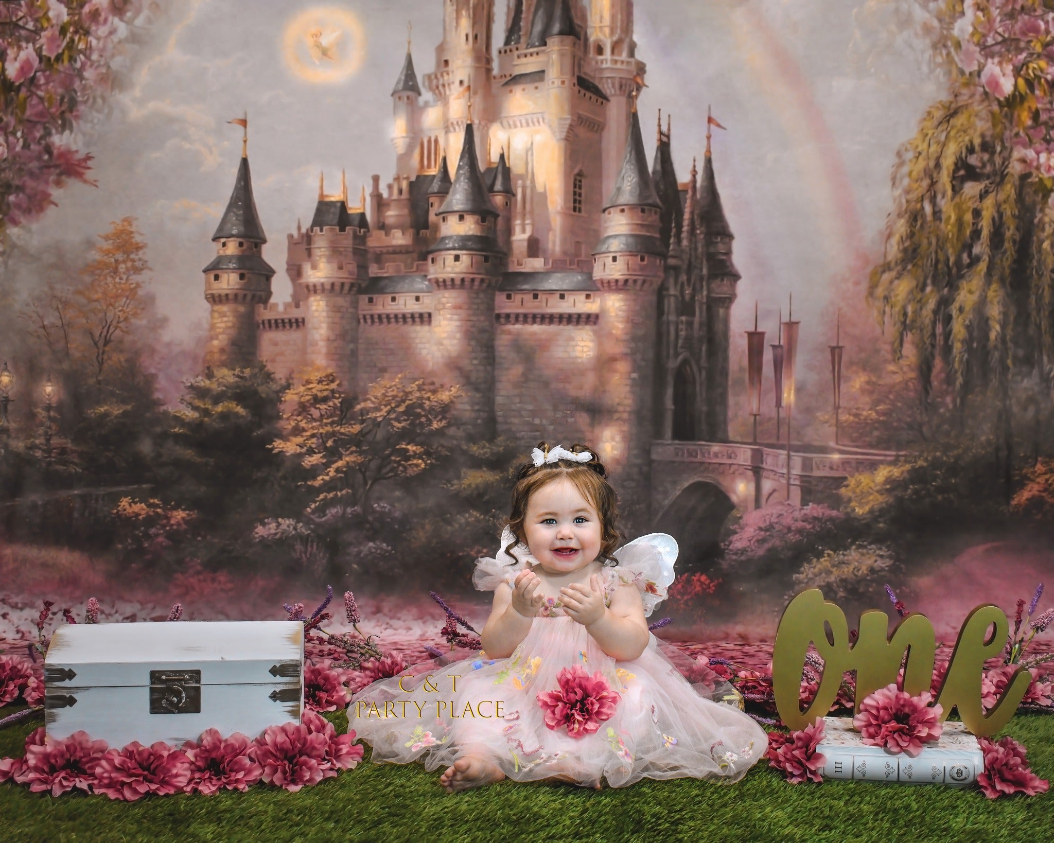 Toile de fond de fleurs roses fantastiques pour la photographie S-2711