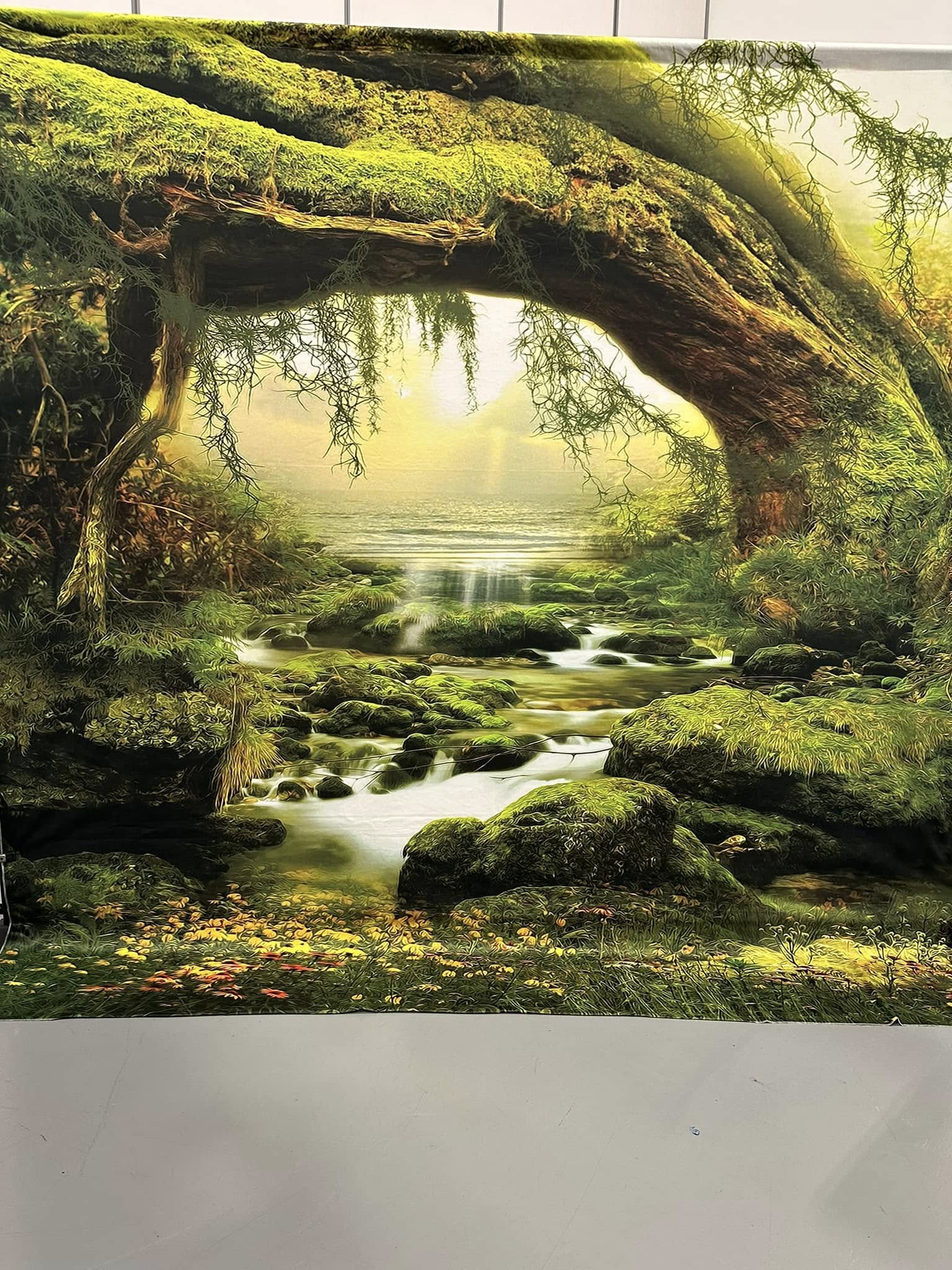 Toile de fond de photographie de la forêt de grand arbre  F-165