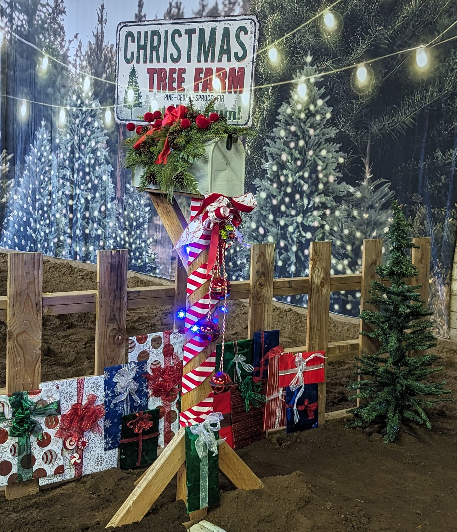 Toile de fond de lumières de chaîne de ferme d'arbre de Noël pour la photographie D830