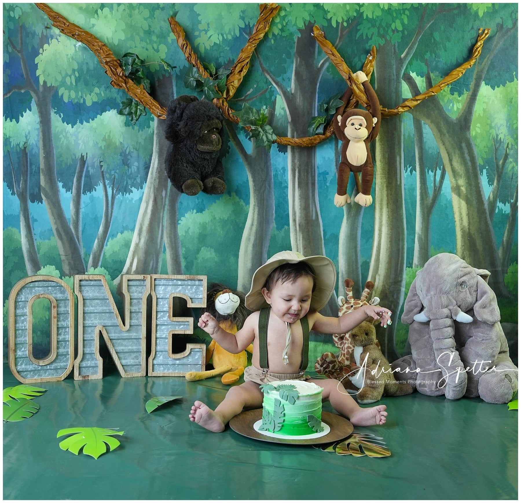 Fond pour nouveau-nés Forêt enchantée Arbres Fond photo pour enfants MRR10-24