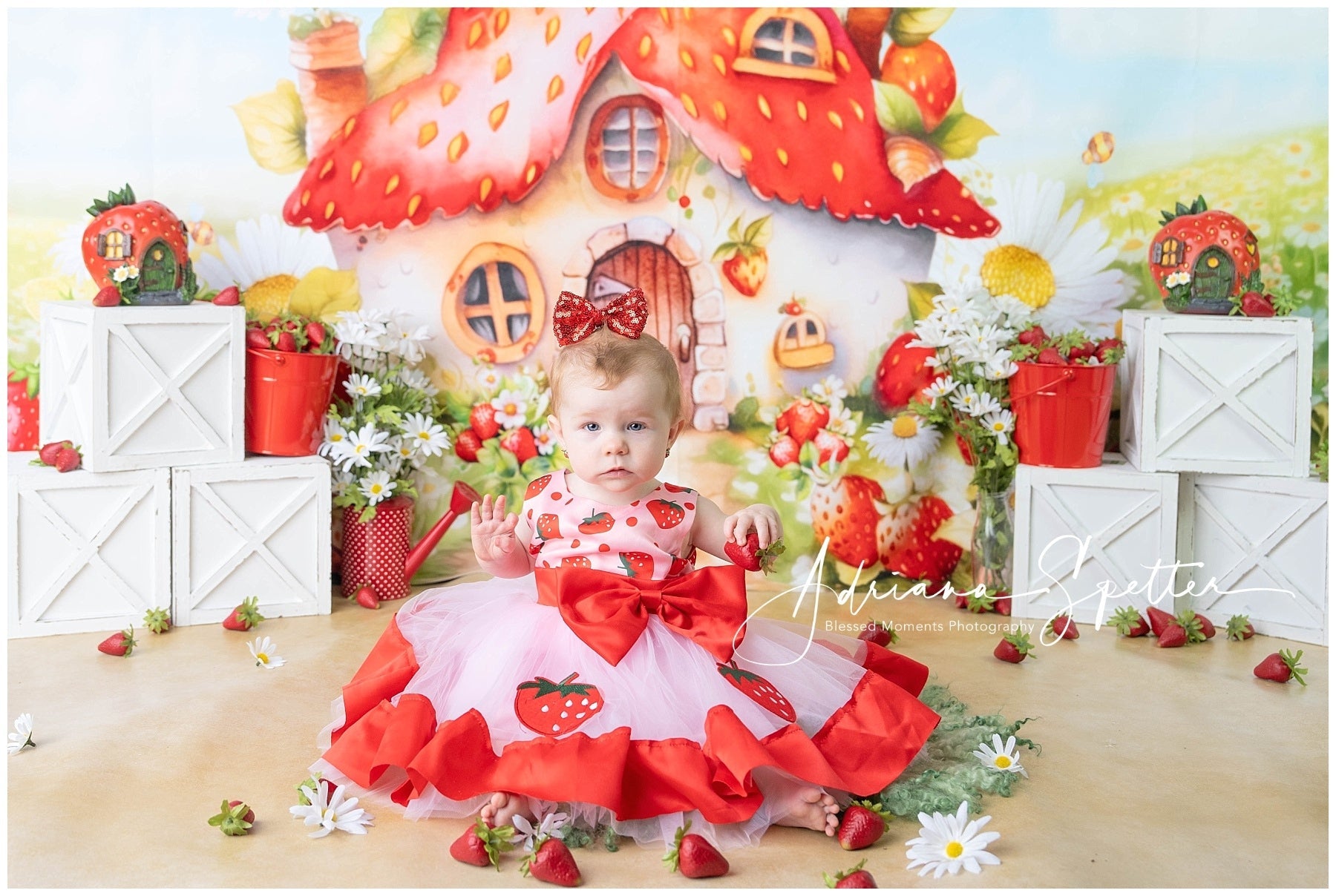 Fonds enfants Maison fraise Fleurs Fond nouveau-né MRR10-28