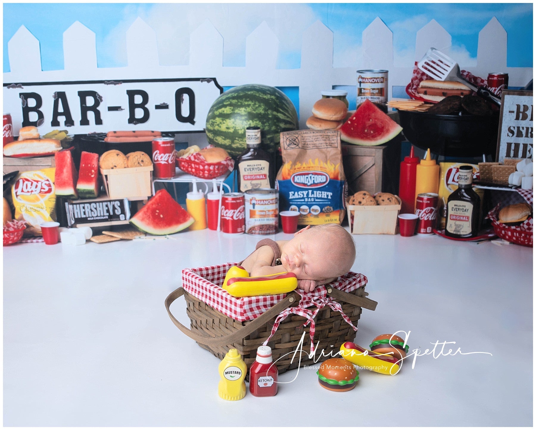 Fond pour nouveau-né Barbecue Fête Guirlandes lumineuses Fonds pour enfants MRR10-22