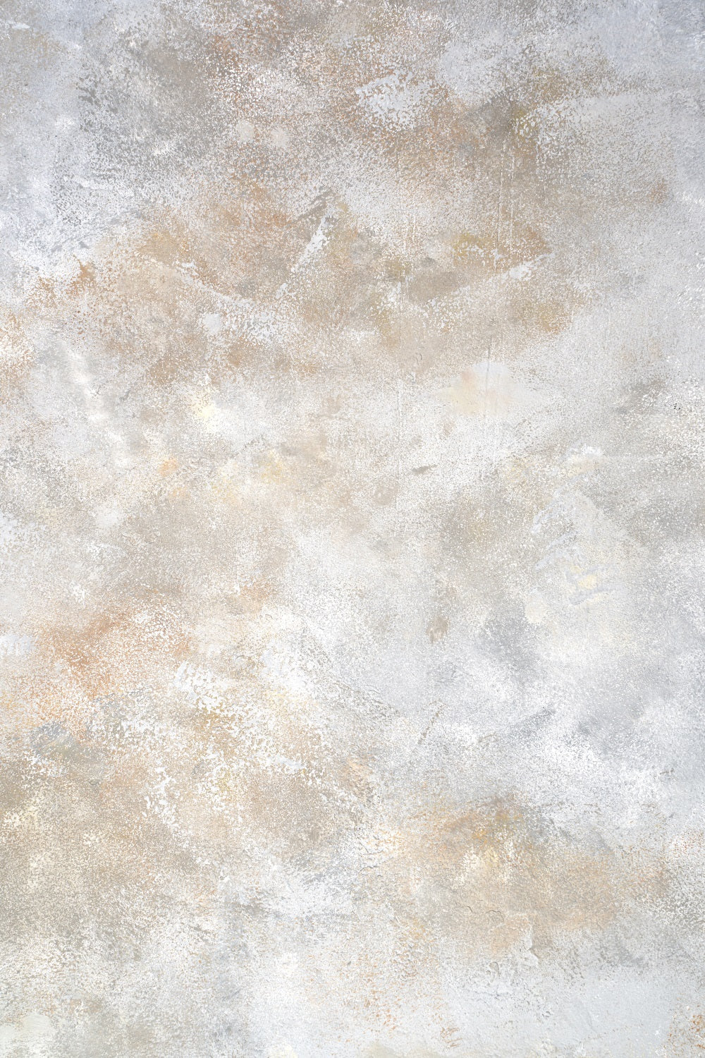Toile de fond Portrait Gris Texture Neutre Mur BRP-11-616