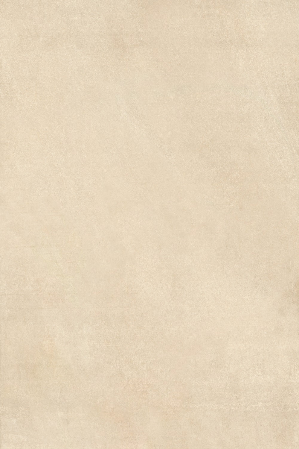 Toile de fond Portrait Beige Texture Mur BRP-11-625