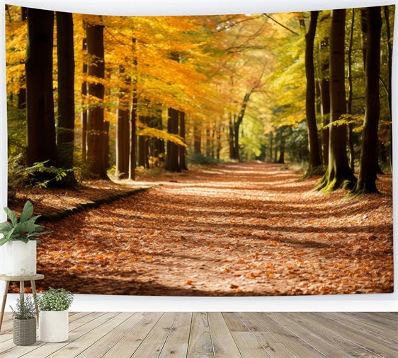 Automne Toile de Fond Forêt Parc Chemin Scénique BRP10-235