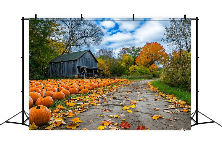 Automne Toile de Fond Ferme Rustique Champ de Citrouilles BRP10-250