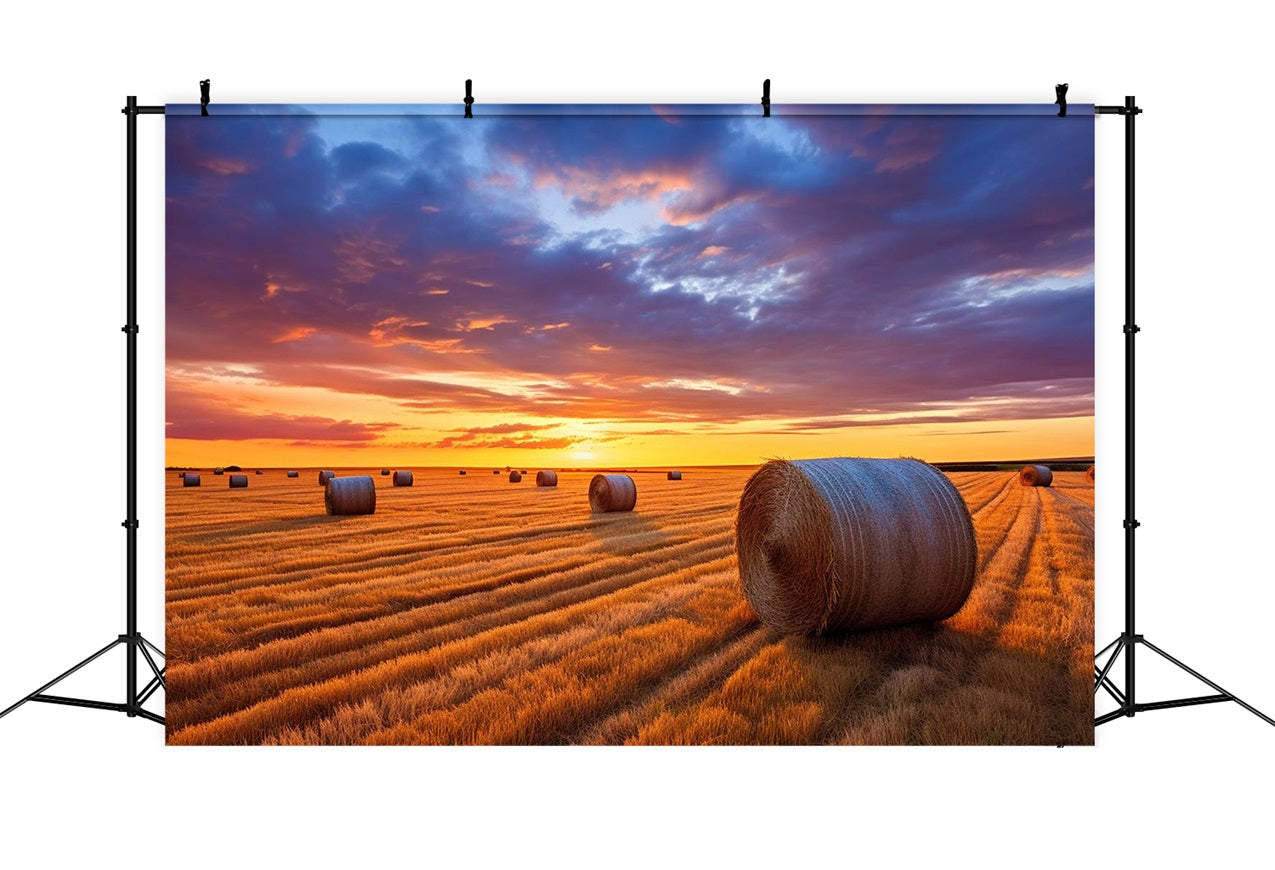 Automne Toile de Fond Balles de Foin Crépuscule BRP10-254