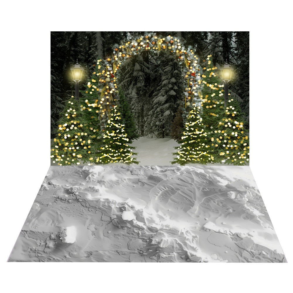 Toile de Fond de Forêt avec Arche Enneigée + Sol de Sentier Chargé de Neige BRP10-459