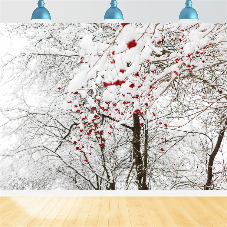 Toile de fond Hiver Baies Rouges Neige BRP11-20