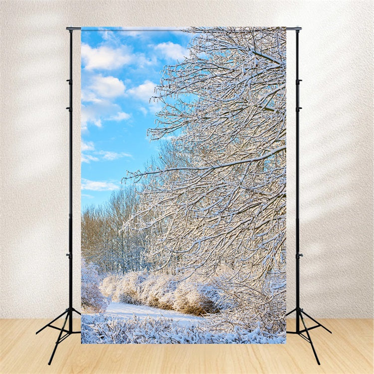 Toile de fond Hiver Branches Givrées Ciel Clair BRP11-68