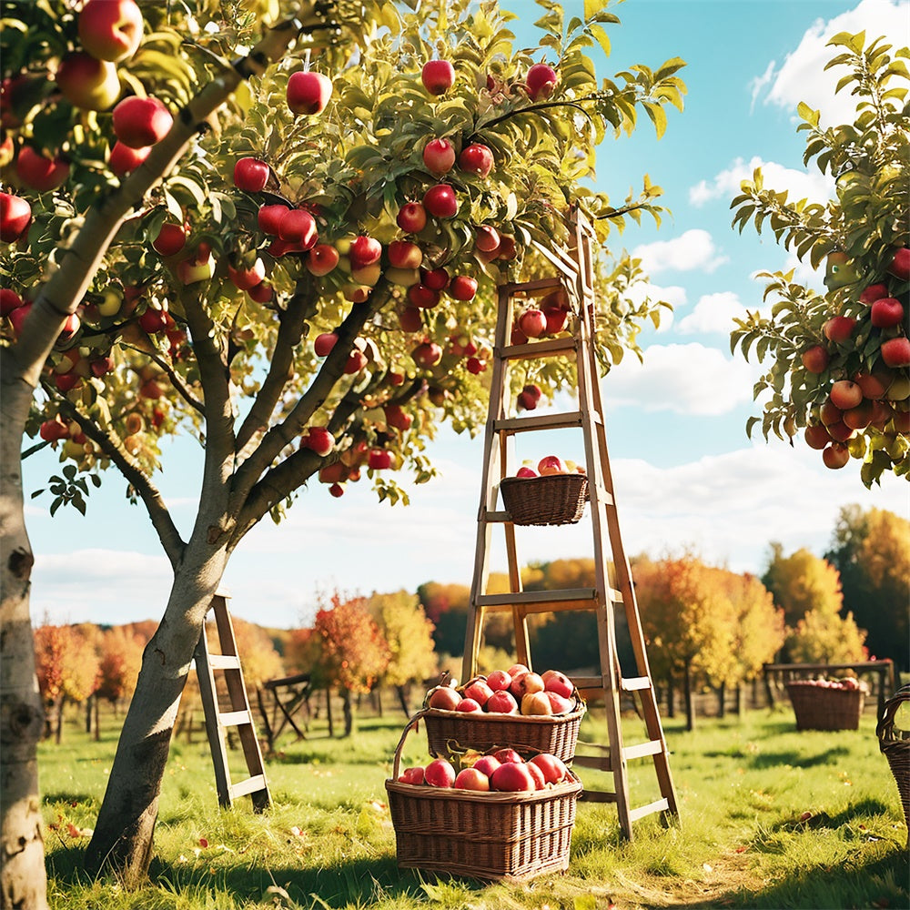 Toile de fond de verger de pommes rouges en forêt d'automne BRP7-111