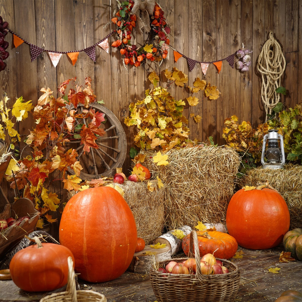 Toile de fond de récolte d'automne avec citrouilles BRP7-117