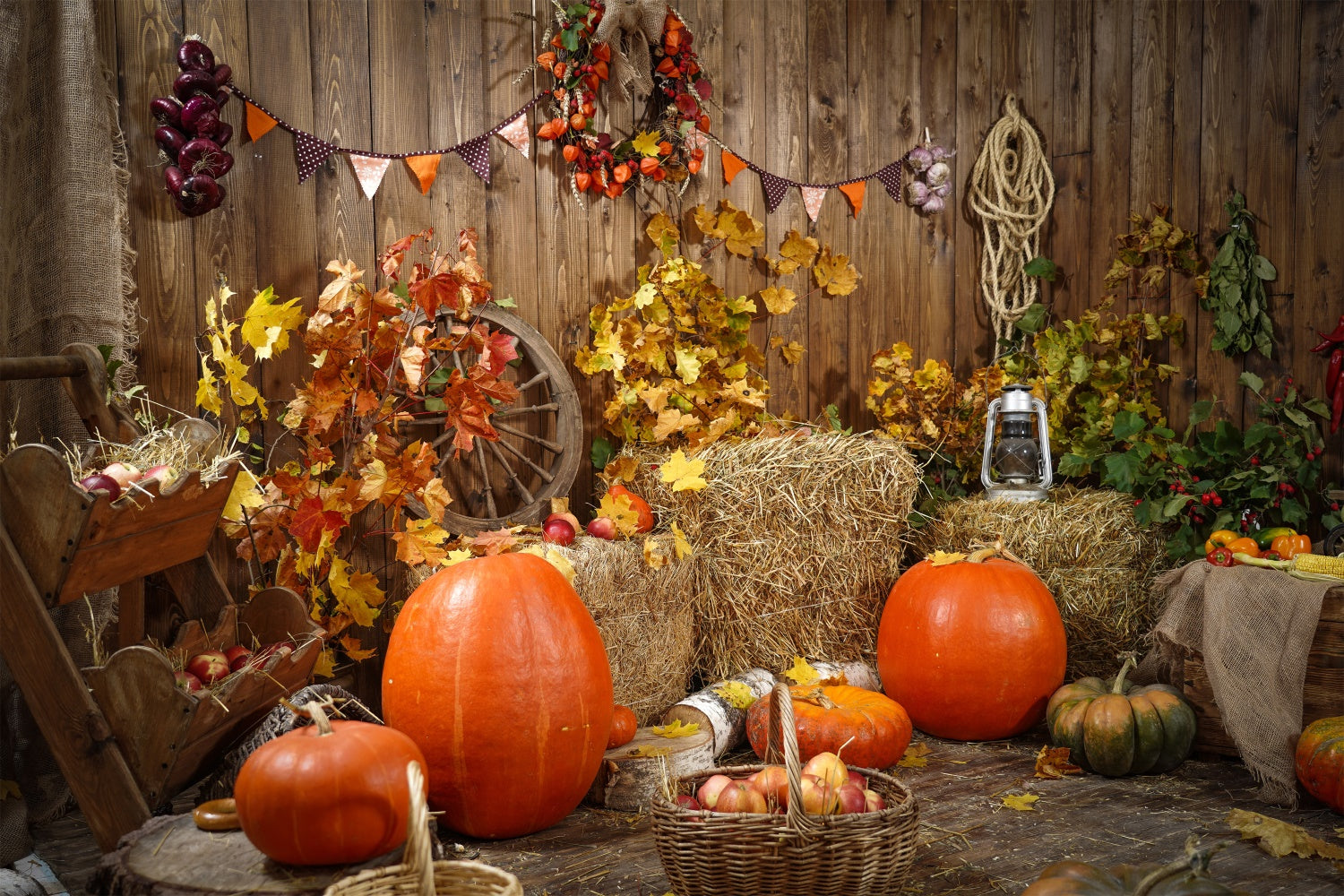 Toile de fond de récolte d'automne avec citrouilles BRP7-117