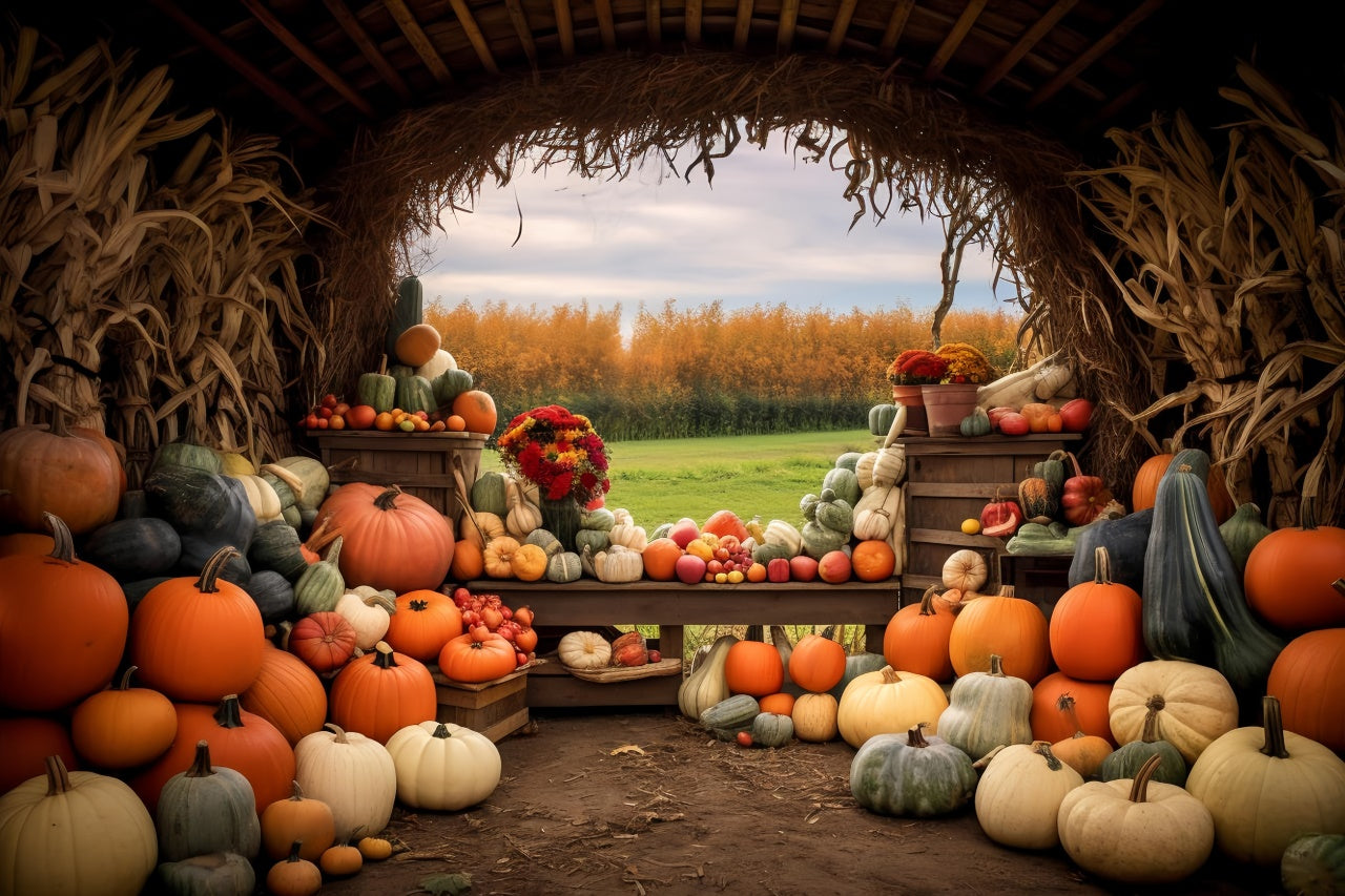 Toile de fond de ferme de citrouilles d'automne BRP7-122