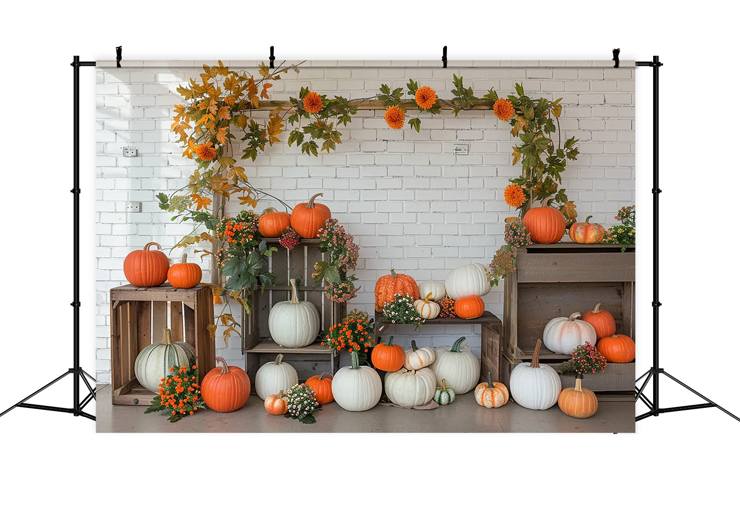 Toile de fond d'étagère avec citrouilles et mur blanc d'automne BRP7-141