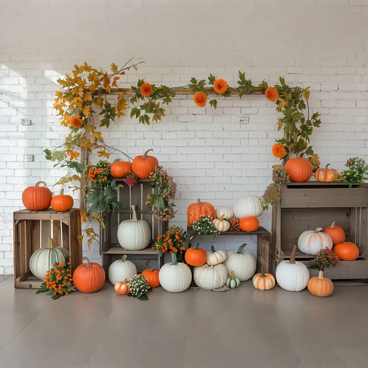 Toile de fond d'étagère avec citrouilles et mur blanc d'automne BRP7-141