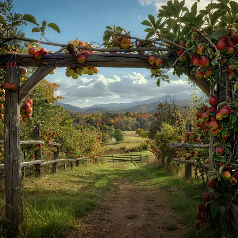 Toile de fond de ferme de pommes d'automne pour la photographie BRP7-143