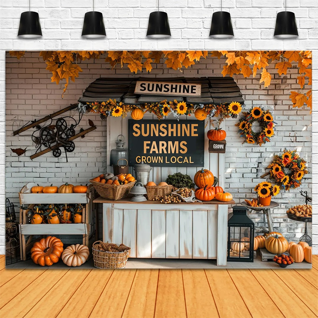 Toile de fond de marché avec petites citrouilles en automne BRP7-158