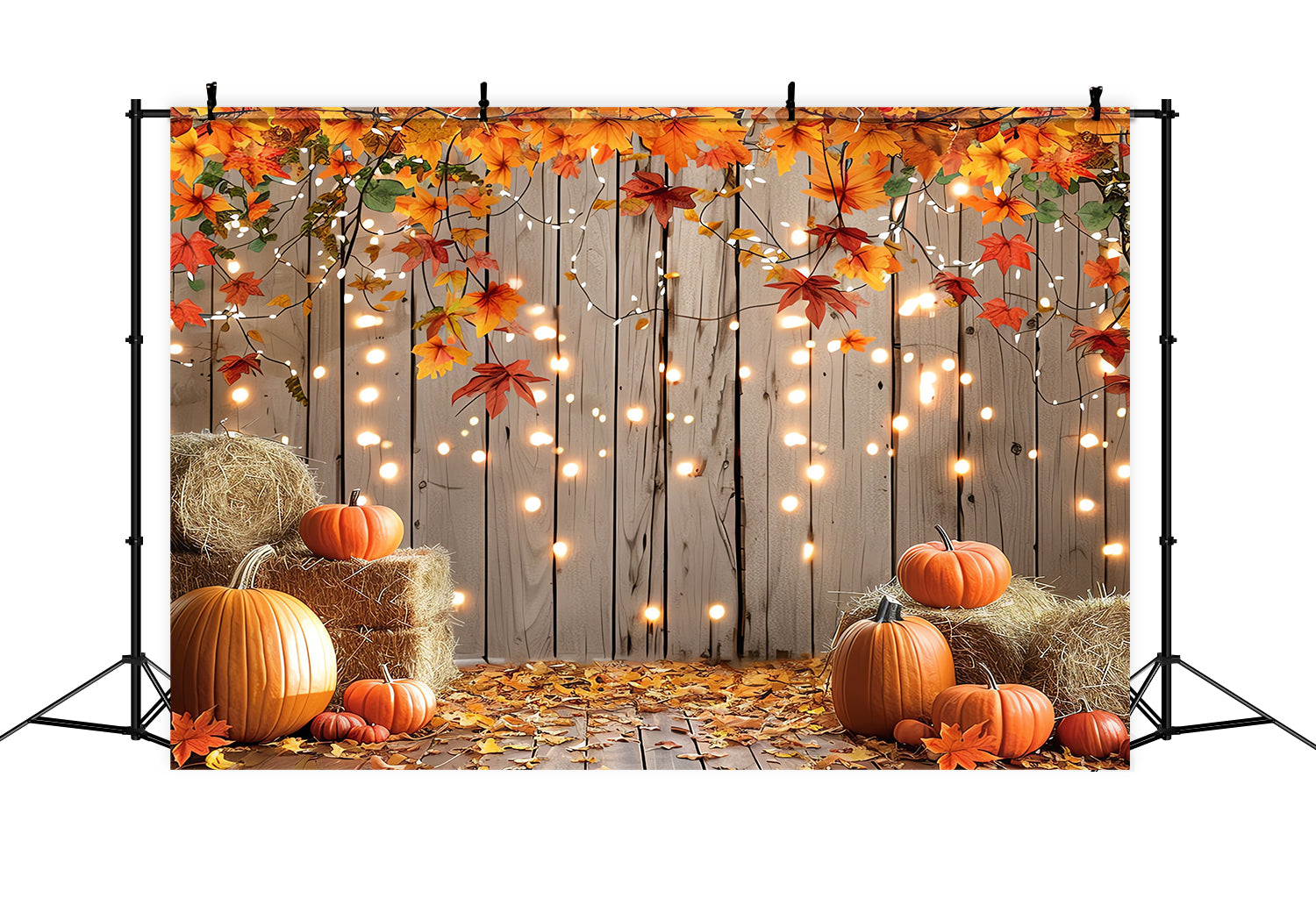 Toile de fond de récolte de citrouilles en automne BRP7-98