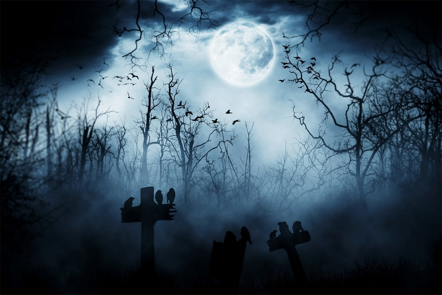 Toile de fond Nuit brumeuse avec corbeaux en forêt d'Halloween BRP8-246