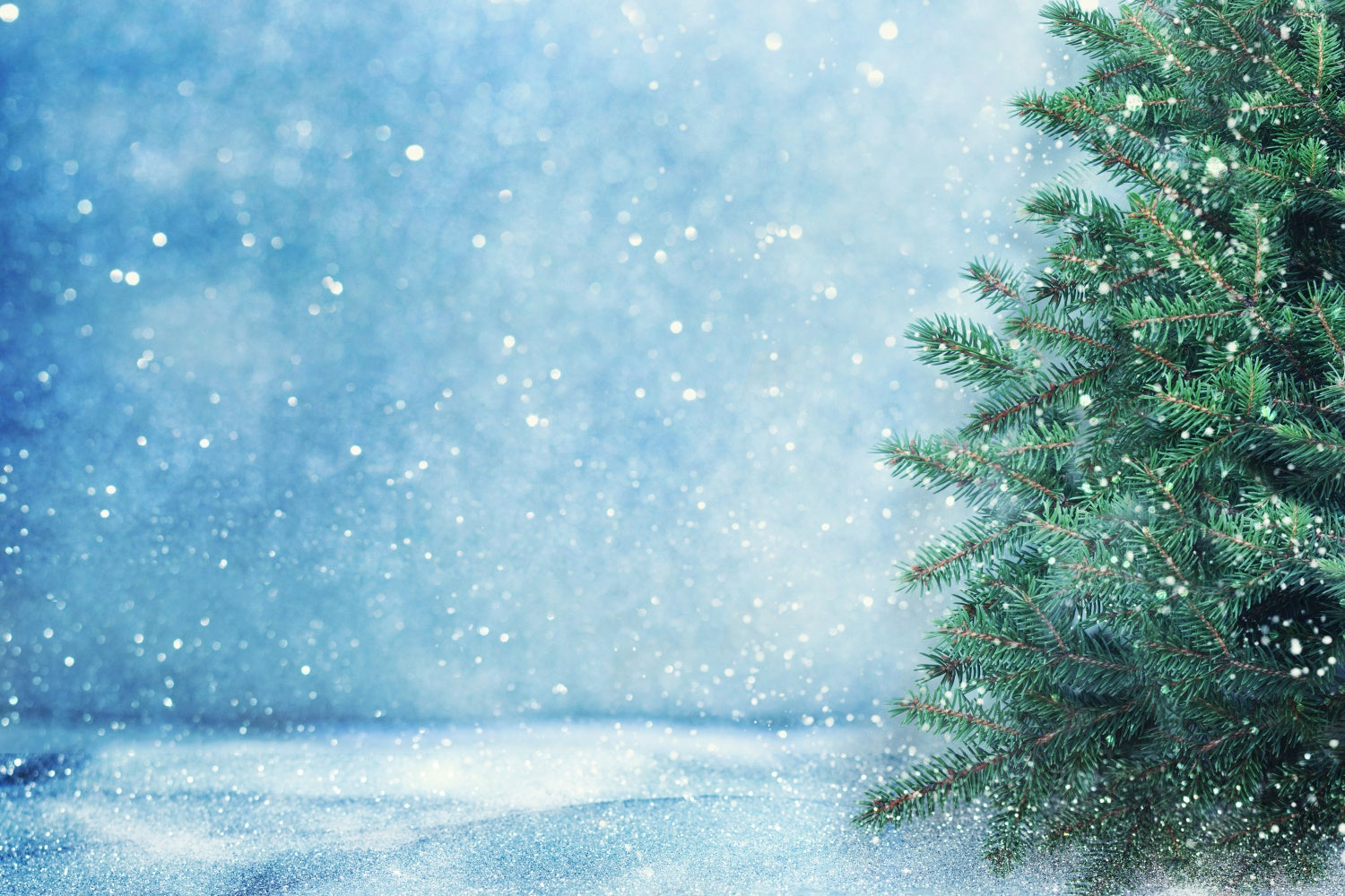 Toile de fond Neige scintillante et sapin de Noël BRP8-312