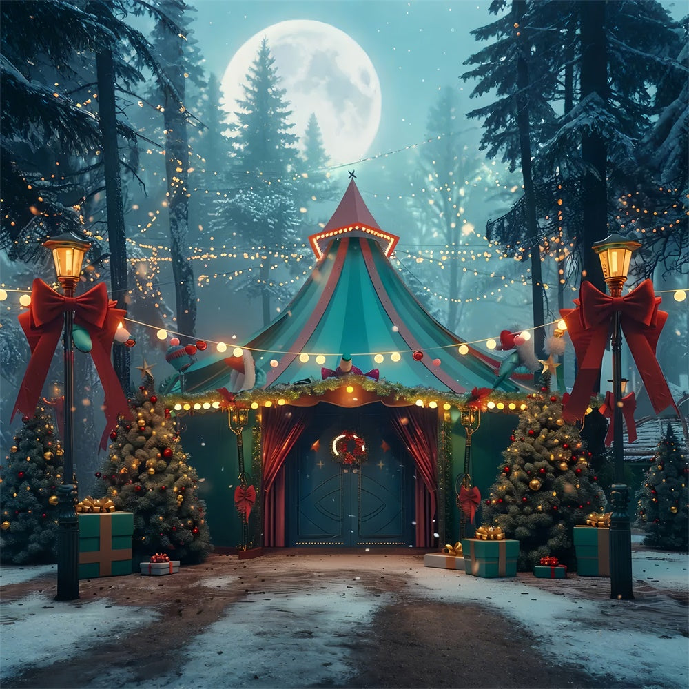 Toile de Fond Forêt Enchantée de Noël BRP8-44