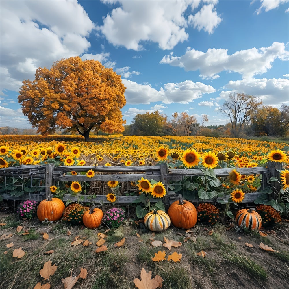 Toile de Fond Champ de Tournesols d'Automne Grand Arbre Citrouilles BRP9-186
