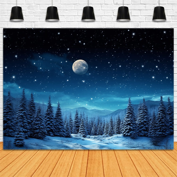 Toile de fond Ciel nocturne hivernal Arbres enneigés Photographie BRP9-210