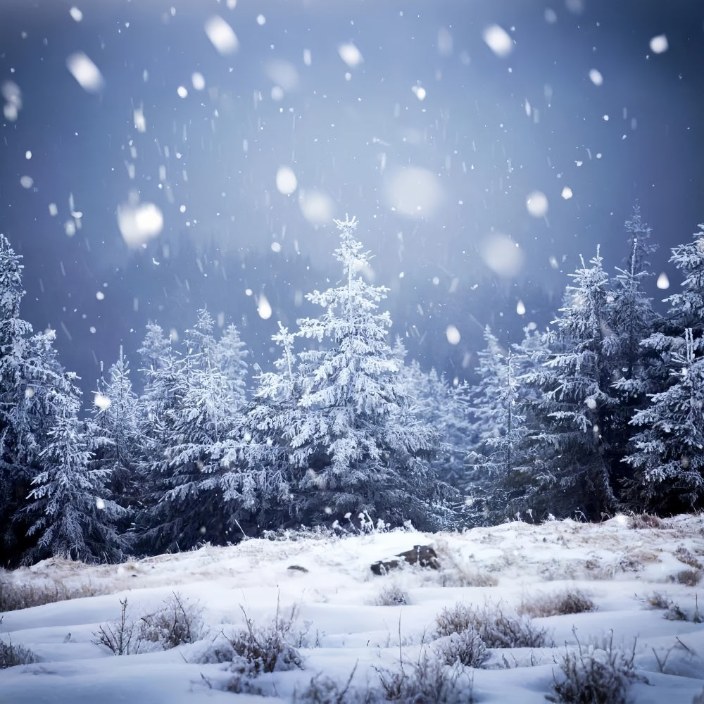 Toile de fond Nuit d'hiver Neige Tombée Lune et étoiles BRP9-214