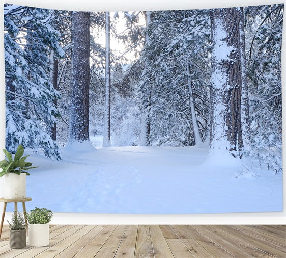 Toile de fond Sentier boisé enneigé Pins hivernaux BRP9-227