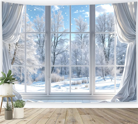 Toile de fond Journée d'hiver claire à travers fenêtre BRP9-232