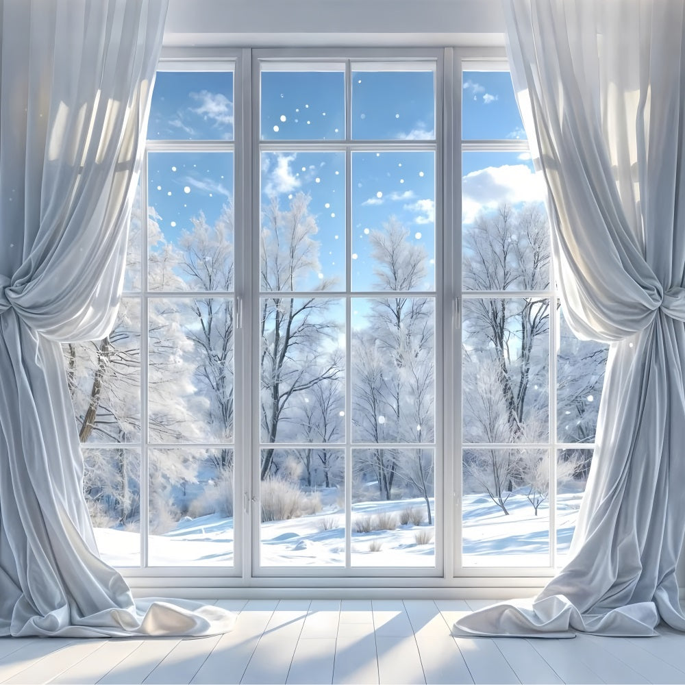 Toile de fond Journée d'hiver claire à travers fenêtre BRP9-232